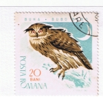 Stamps : Europe : Romania :  Buha  Buho  bobo