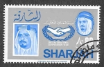 Stamps United Arab Emirates -  Yt143 - Año de Internacional de la Cooperación (SHARJAH)