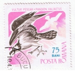 Stamps : Europe : Romania :  Vultur Pescar  Pandion Haliaetus