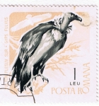 Stamps : Europe : Romania :  Vultur Plesuv Sur  Gyps  Fulvus