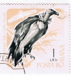 Stamps Romania -  Vultur Plesuv Sur  Gyps  Fulvus