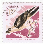 Stamps : Europe : Romania :  Zagan Gypaetus Barnbatus
