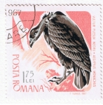 Sellos del Mundo : Europa : Rumania : Vultur  plesuv Negru Aegypius Monachus