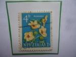 Sellos de Oceania - Nueva Zelanda -  Purangi (Hibiscus trionum) - Malva de Venecia- Sello de 4d-Penique de Nueva Zelanda.