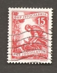 Stamps Yugoslavia -  INTERCAMBIO