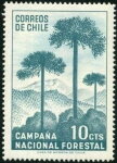 Stamps : America : Chile :  Campaña Forestal