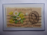 Stamps United Kingdom -  Reina Elizabeth-National Nature Week- Semana nacional de la Naturaleza- Margarita- Abeja de Miel.