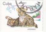 Stamps Cuba -  Leopardo