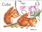 Stamps Cuba -  Ardilla