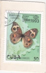 Sellos de America - Cuba -  Mariposa cubana