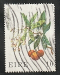 Sellos de Europa - Irlanda -  379 - Flor, arbutus unedo