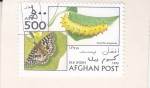 Stamps : Asia : Afghanistan :  Mariposa