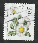 Sellos de Europa - Irlanda -  1619 - Flor, margarita