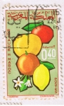 Stamps : Africa : Morocco :  Royaume du Maroc 18