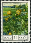 Stamps : Europe : Russia :  Flor