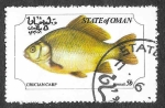 Stamps Oman -  (C) Carpín