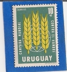 Stamps Uruguay -  Campaña Mundial Contra el Hambre