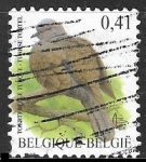 Stamps Belgium -  Eurasian Collared Dove 