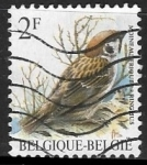 Stamps Belgium -  Eurasian Tree Sparrow 