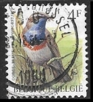 Sellos de Europa - B�lgica -  White-spotted Bluethroat 