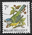 Stamps Belgium -  Eurasian Blue Tit