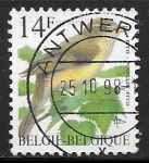 Stamps Belgium -  Filis