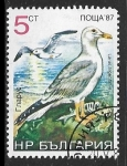 Stamps Bulgaria -  Larus argentatus