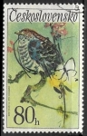 Stamps Czechoslovakia -  Cuculus canorus