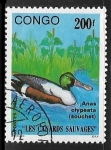 Sellos del Mundo : Africa : Rep�blica_del_Congo : Patos salvajes 