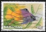Sellos de America - Bahamas -  peces