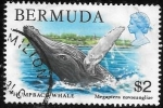 Stamps : America : Bermuda :  ballena
