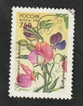 Stamps Russia -  6167 - Flor
