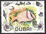 Stamps United Arab Emirates -  peces