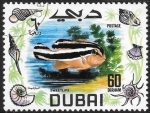 Stamps : Asia : United_Arab_Emirates :  peces