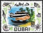 Stamps United Arab Emirates -  peces