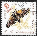 Stamps : Europe : Romania :  mariposas