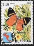 Stamps : America : Nicaragua :  mariposas