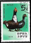 Sellos de Asia - Corea del norte -  Patos