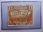 Stamps Ecuador -  Ryan B-5 Brougham volando sobre el Cimborazo - Sello de 1 Sucre, del año 1936.