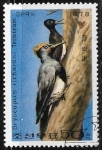Stamps North Korea -  Dryocopus javensis richardsi