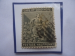 Stamps : Africa : South_Africa :  Cape of Good Hape- Cabo de Buena Esperanza- Alegoría de la Esperanza- Valor:Half Penny.