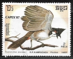 Stamps Cambodia -  Pycnonotus jocosus