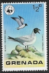 Stamps Grenada -  Larus ridibundus