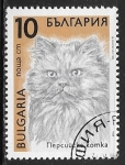 Sellos de Europa - Bulgaria -  Felis silvestris catus