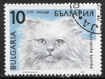 Stamps Bulgaria -  Felis silvestris catus