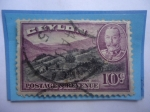Stamps : Asia : Sri_Lanka :  Hill Paddy (Rice) - Terrazas de Arroz - Serie: King George V - Valor:10 cénts. Ceilandés, año 1935.