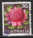Sellos de Oceania - Australia -  Waratah