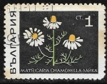Sellos de Europa - Bulgaria -  Matricaria chamomilla