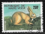 Stamps Burkina Faso -  Conejo domestico