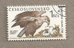 Stamps : Europe : Czechoslovakia :  Aguila :Haliaeetus albicilla